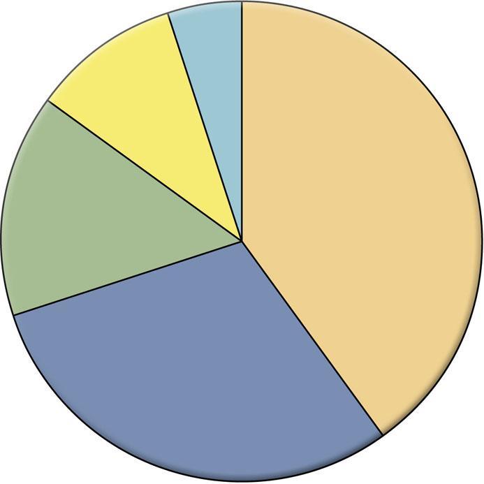 Försäljning per kundsegment % Gruvindustri 10 % Vindkraft 5 % Distributörer 15