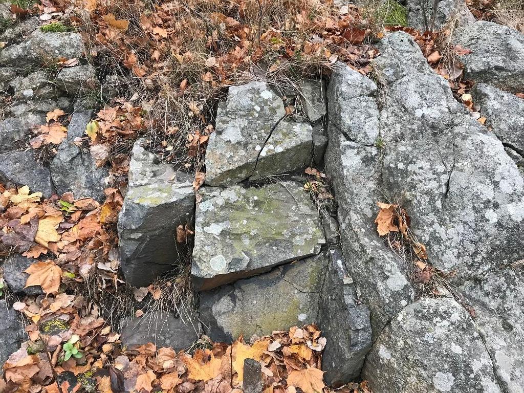Sida 9 (12) Figur 5: Strökorn av granat i sedimentådergnejsen. Foto på lokal vid östra området av fastigheten.