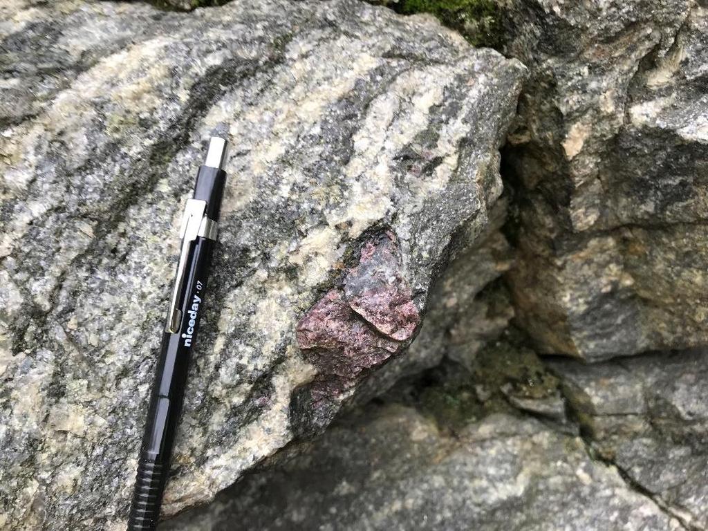 SGU:s berggrundsgeologiska karta över aktuellt område, se bilaga 1, samstämmer med den inom projektet fältmässiga