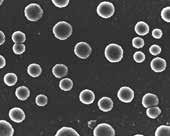 Virus Pollenbaserade allergener INNAN bestrålningen EFTER bestrålningen INNAN
