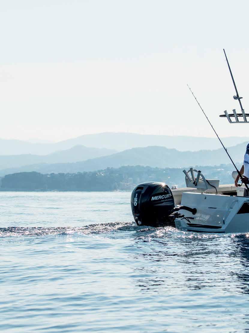 VI HITTAR. DU FISKAR. Tack för att du tog dig tid att läsa om det stora värdet som Lowrance-produkter har att erbjuda.
