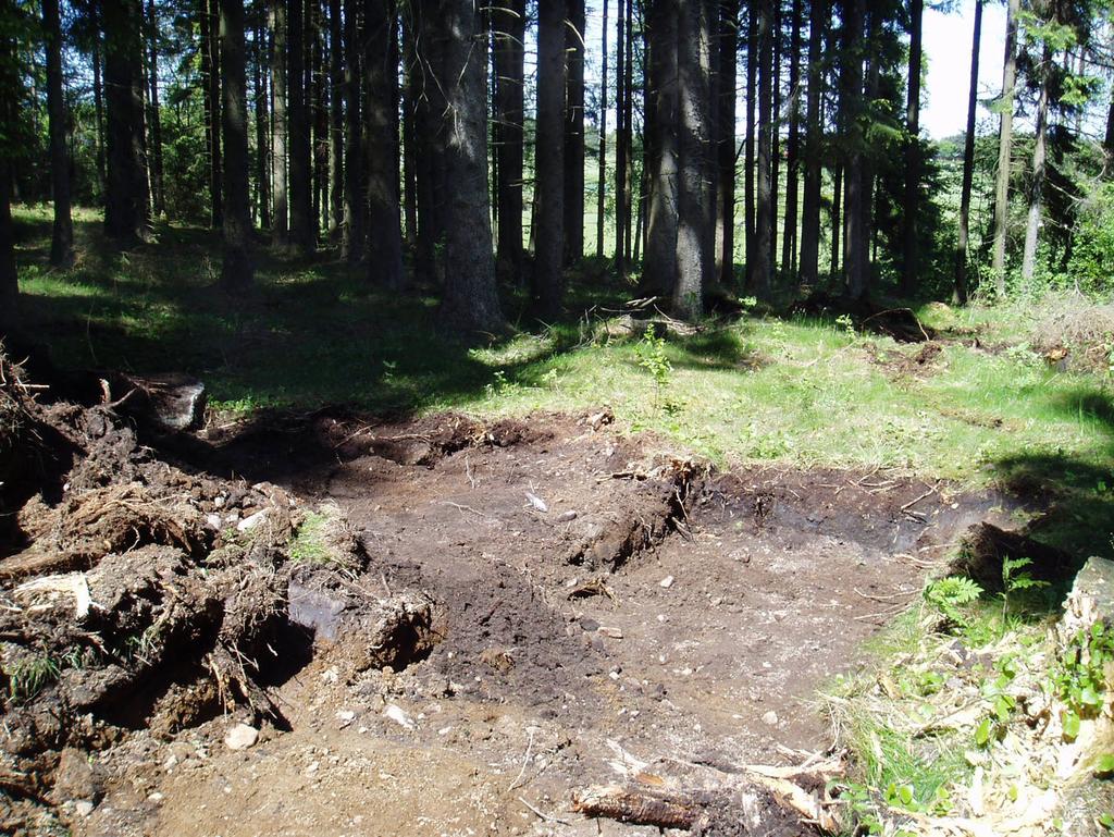 Hällmarkerna i Legene 13 Delområde 1 Flera sökschakt grävdes utefter en smal dalgång i den östra delen. I två schakt påträffades åtminstone två bitar bearbetad flinta.