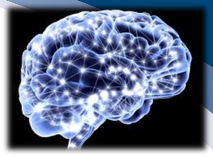 Biologiska fakta om hjärnans utveckling Färdig först vid 25-årsåldern Pannloben resonerar och spärrar, medan det limbiska systemet ( känslohjärnan )