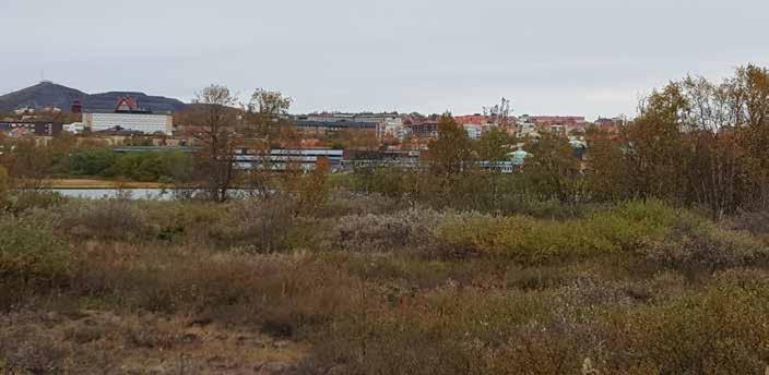 Område 15 Bolagsskolan Bolagsskolan är liksom Hjalmar Lundbomsskolan en typisk skola från 60-70-tal.