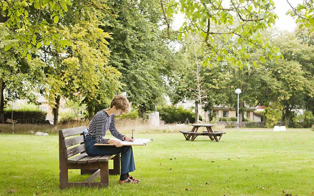 Nationellt program Samhälle, natur och språk Samhälle, natur och språk Programmet för samhälle, natur och språk Programmet för samhälle, natur och språk är till för dig som vill veta mer om hur