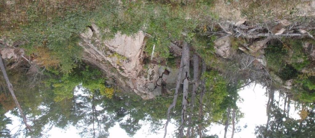 7 (10) Bild 4.1. Rasslänt längs Voxlövberg, belägen strax öster om delområde B. Vy mot öster.