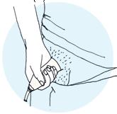 Håll urindroppsamlaren med två fingrar över penis och rulla sakta ut urindroppsamlaren med den andra handen in mot penisroten till dess att