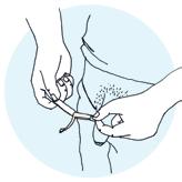 häftremsan. 2.