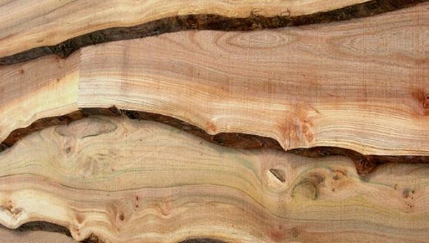Western Red Cedar - Waney Edge FasadpanelWestern Red Cedar - Waney Edge / One Square(ceder - råbarkad kant)waney Edge= Råbarkad kant innebär att ena kanten är obearbetad (se bild 3 i annat träslag).