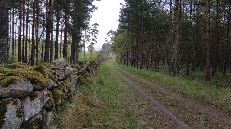 De berörda fornlämningarna har ett stort lokalt värde och tillsammans med tidigare undersökningar kan de sättas in i ett större regionalt sammanhang.