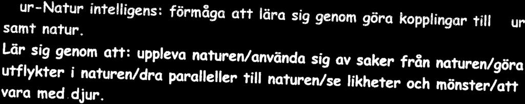 Djur-Nctre' intelrigens: fgv'6ågo att!