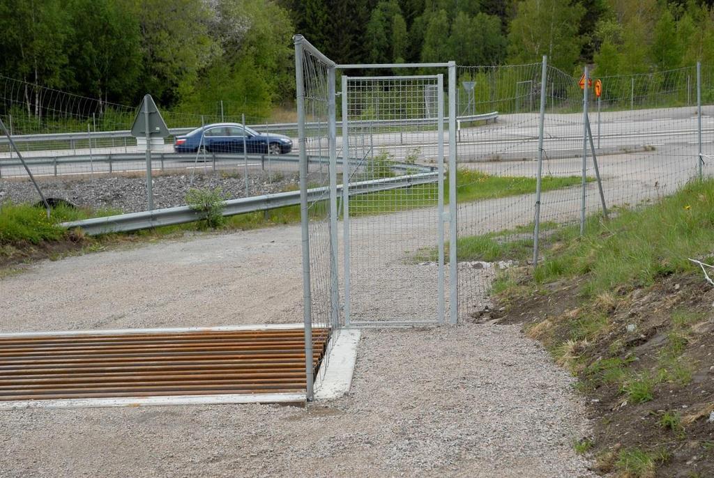 Färistens främsta funktion är att hindra att klövdjur tar sig in på vägområdet, samtidigt som fordon skall kunna passera. För fullgod funktion är avståndet mellan ribborna i färisten avgörande. Figur.