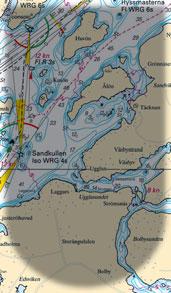 Kanske har du mött gårdens får och lamm på deras sommarbete vid Röllingby backar?