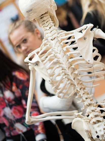 Biologi 2 handlar i huvudsak om människans fysiologi. I kursen behandlas områden som hjärnan, hormoner och muskler. Det inns också delar i kursen som handlar om växternas fysiologi.