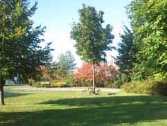 7. gunneboparken (gunnebogatan/fagerstagatan) Storlek: Ca 0,4 Ha Karaktär: Kvarterspark sociala värden: Blomprakt (i urnor), boule, grön oas, picknick, ro, sitta i solen, utsikt Bevara och utveckla