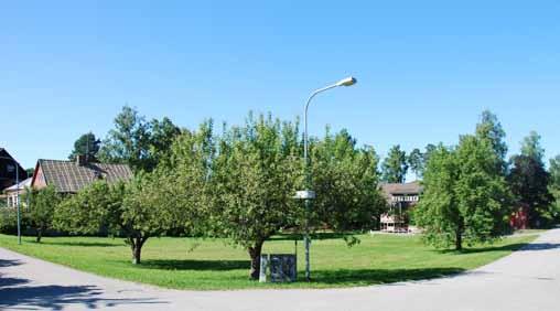 Lekplats 4. Elcentral N Kvarterspark som till största delen utgörs av en öppen, lätt skålad gräsyta avgränsad mot omgivande gator med uppvuxna fruktträd.