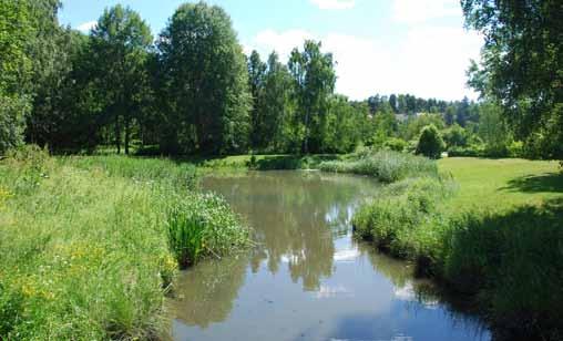 Över dammen går träbroar med rödmålade räcken som en del i ett längre cykel- och promenadstråk längs Spångaån.