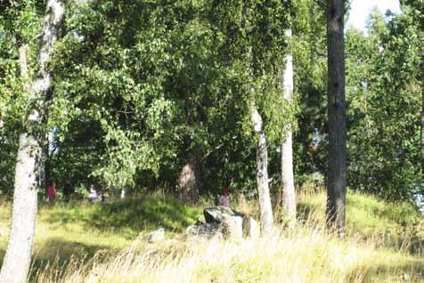 Dessutom finns två lekplatser, en tennisplan och en större bollplan. Gränsen mot Avestagatan utgörs bitvis av en brant skogsbeklädd slänt, bitvis av en brynzon.