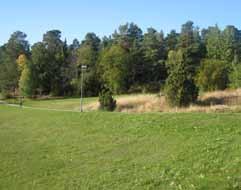 Fagerstagatan Ett naturområde med parkkaraktär i Lunda industriområde. Området består av skogsbevuxen, kuperad naturmark med blandskog (löv, gran, tall) samt klippta gräsytor och mindre ängsytor.