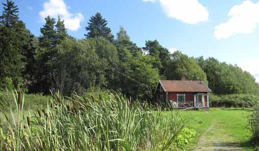5 3 Nälsta dike bällsta Ett större naturområde invid stadsdelsgränsen mot Bromma. Området är mestadels kuperat med blandskog.