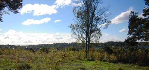 60. BROMSTENS FORNBORG Storlek: Ca Ha Karaktär: Naturområde sociala värden: Grön oas, naturlek, ro, utsikt Ekologiska värden: Del av spridningskorridor för växter och djur. Rödlistade arter.