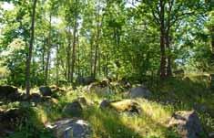 73. Utgårdsvägen/Vinstavägen 74. Område vid Gläntan 75. Logvägen : Blockigt naturområde på höjd kringbyggd av villatomter.