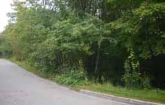 SUNDBY 78.