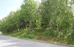 Solhems hagväg/spånga kyrkväg Smalt natursråk utmed Solhems hagväg och vidare