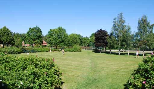 Parkens öppna gräsyta ramas in av ett friväxande buskage 4. Gräs. Buskage 3. Bollplan 4. Lekplats 3 N Palmérsparken är tydligt indelad i zoner.