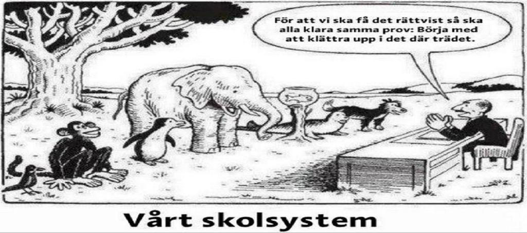Varför är NPF viktigt för skolan?