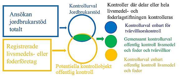 åtgärdar dem. Det finns också skillnader när det gäller kontrollens omfattning. Tvärvillkoren omfattar ett begränsat antal regler i livsmedels och foderlagstiftningen.