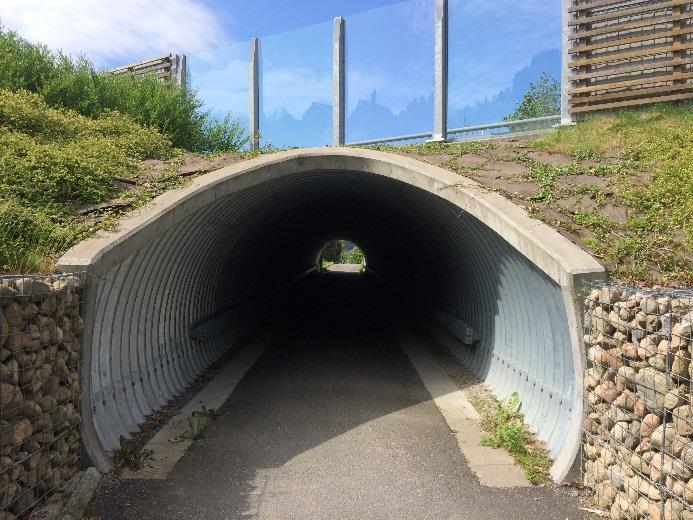 Belysning av gång- och cykelbanor ombesörjs ofta av den "vanliga" gatubelysningen.