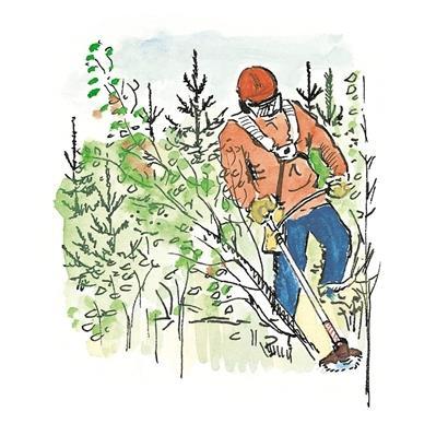 FÖRDJUPAD RESULTATSREDOVISNING, 2017&2018 Röjning 6% Röjda Inte röjda 94% Illustration: