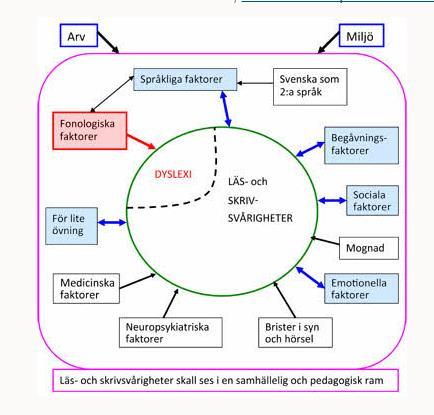 ansvar att tidigt identifiera eventuella svårigheter och sätta in pedagogiska åtgärder, följa upp dessa och utvärdera resultatet, så att eleverna inte kommer att tillhöra förlorarna i den s.k. Matteuseffekten.