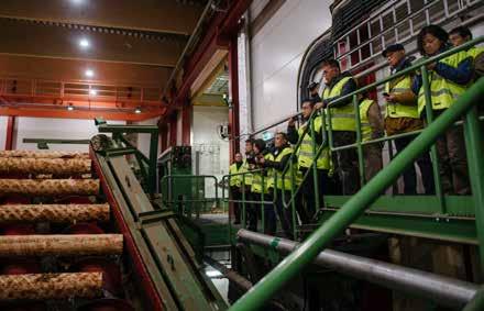 Inom svensk skogsindustri finns ett etablerat och välfungerande system för att ta vara på virket på bästa möjliga sätt, i alla led, från sågverk till pappers-, massa- och energiproduktion.