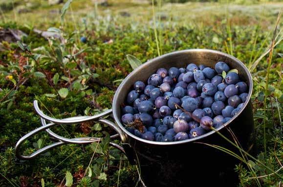 VAD ÄR HÅLLBAR TURISM? En hållbar turism kan beskrivas som ett ansvarsfullt resande där vi respekterar miljön, kulturen och de lokala samhällena samt främjar socioekonomiska fördelar för alla.