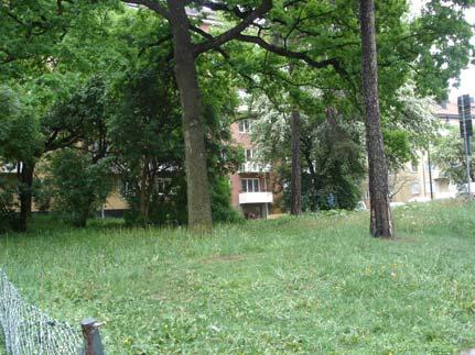 västra naturkvarteret Området består av en gräsyta med ett antal stora träd som tall och ek. En parksoffa minner om att det tidigare funnits en sittplats här.