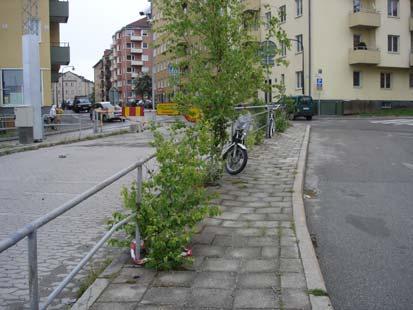 TRAFIKGRÖNYTOR Områden vid Essingeleden (36) Område vid Primusgatan (35) Vd Essinge Brogatas avstängda ramp mot Essingeleden finns en refug planterad med buskar.