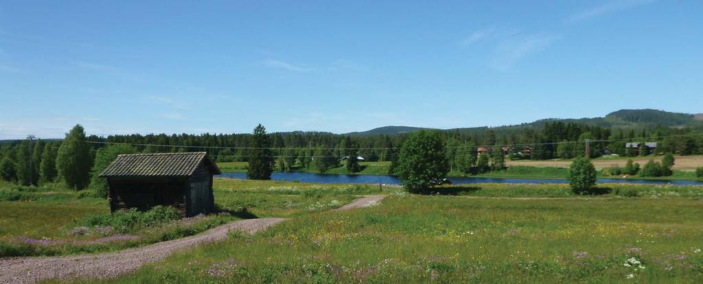 FÖRENKLAT GESTALTNINGSPROGRAM Väg 66 Malung - Sälen, delen Östra Tandö-Bu Malung -