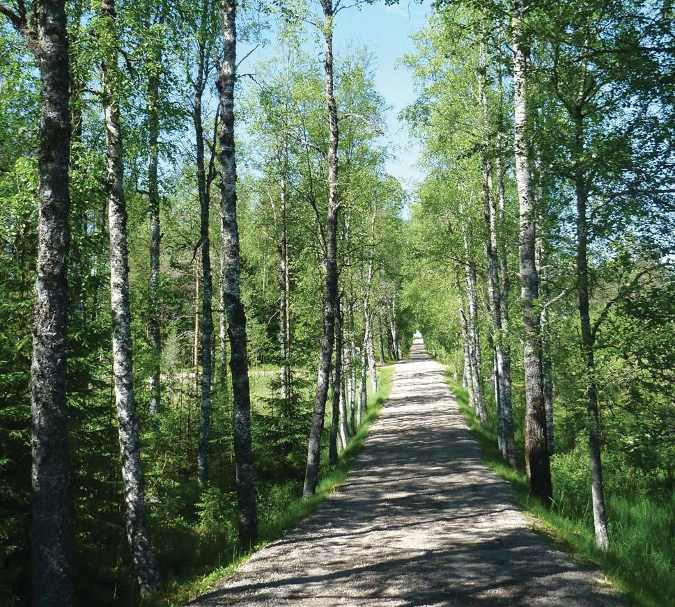 Längs sträckan passeras öppna ängsmarker och hagmarker med vackra utblickar över Västerdalälven, varvade med partier av barrskog och lövklädda åkerholmar.