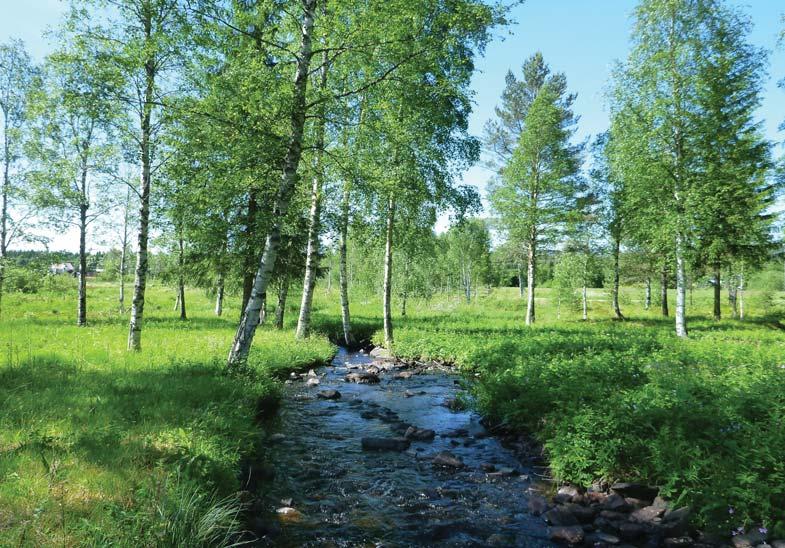 66 samt de två trummor i vilka Oforsvallabäcken passerar under