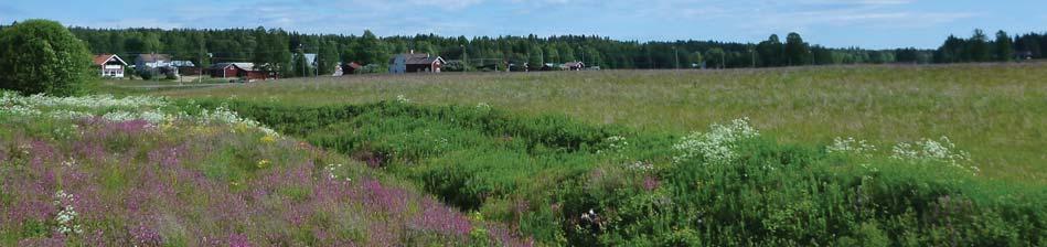 4.2 Delsträcka 2 I Rissätra får vägen en ny dragning över ängsmark och sluter an mot väg 1044 vid före detta Rissätra skola, en sträcka om ca 900 m.