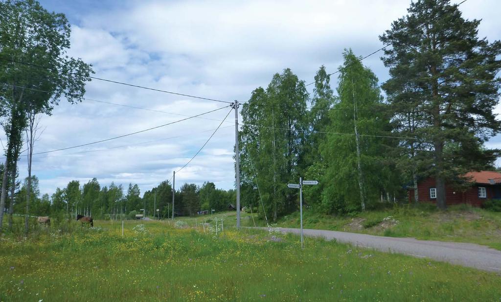 Figur 4.24 Befintlig väg 1044 slingrar fram mellan ängsmark och trädbeklädd terräng.