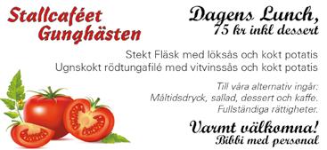 V-utdelning:.00 kr Benny Ternemar Styrelse Karl Alexanderson (ordf.), Vanja Sandgren (vice ordf.