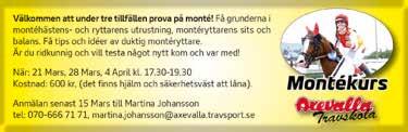 Försäljning/evenemang Henrik Johansson 00- Patrik Österberg 0-0 Ekonomi Ann-Marie Handfast 0-0 Guideansvarig Bengt Wejshag, 00- Travskolan 0-0 Martina Johansson 00- Anläggning Per-Arne Henryson 00-0