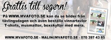 00 Nouveau Sund e Sugarcane Hanover Bäc Je E /- /0 0,a Cc 0' Uppf: Bredelius Hans & Fredrik Sve Li Ax /- /0,g cc ' Äg: Bäck Silfors Jessica, Skara Unt Pe Å /- /0,a cc 0 0' Blå, svart axelp m