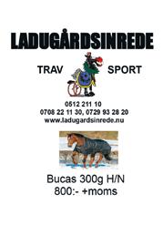 Hemmatränaren Ulf Stenströmer har en häst i varje lopp inom V-spelet och bästa chansen ska utan tvekan vara M.C.C.Orlando i V-.