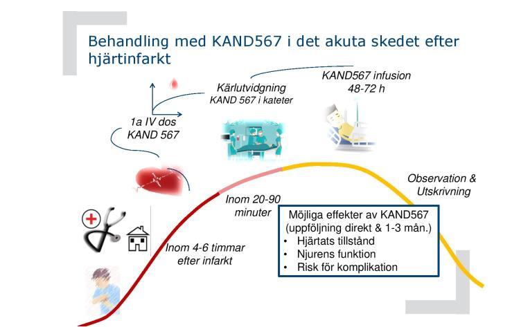 Plan att inleda kontrollerad studie 2019 Kancera har kommunicerat upplägget för en kommande fas IIa-studie där KAND567 är tänkt att ges i tre skeden efter att en patient kommer in till sjukhus efter