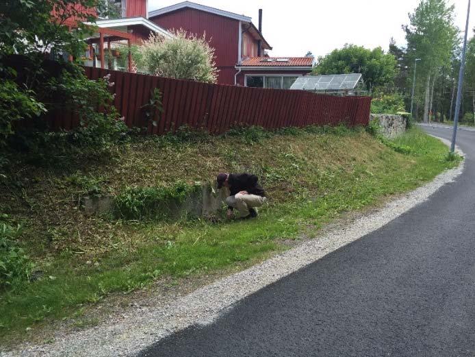 utanför planområdets sydvästra hörn.