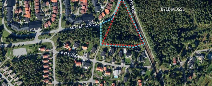 linje) och ungefärlig